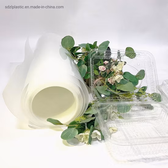 Foglio di pellicola trasparente Pet PVC PP PLA Rotoli di fogli di plastica Film Pellicola trasparente in bioplastica per imballaggi farmaceutici/alimentari